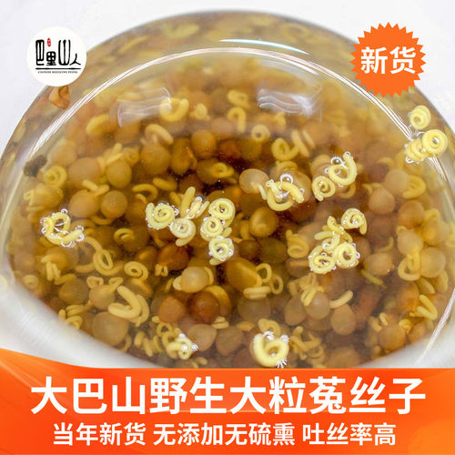 野生特级大粒菟丝子泡酒中药材