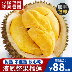 榴莲新鲜水果顺丰包邮冷冻泰国一级金枕干尧液氮巴掌榴莲一整个