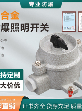 防爆照明开关SW-10防水220V 380V防爆开关墙壁插座10A16A控制按钮