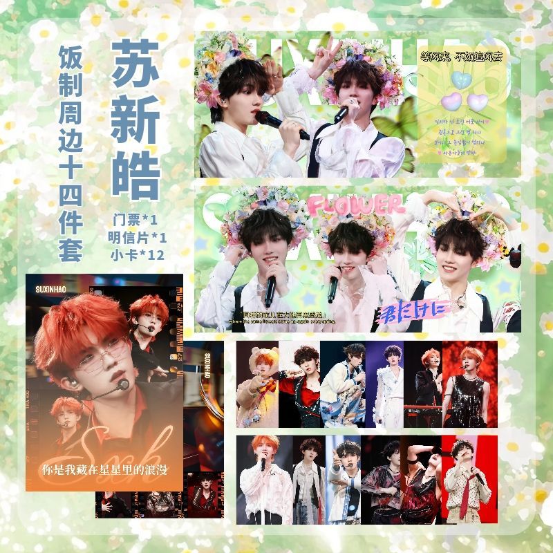 苏新皓无所谓计划演唱会系列小卡门票明信片周边簪花舞台饭制珍藏