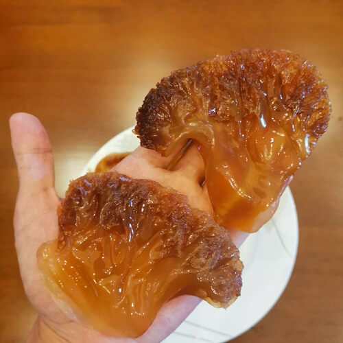 舟山两头产地野生特大叶片脆爽