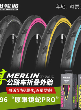 朝阳隼眼镜蛇PRO公路车外胎700*25c/28防刺自行车外胎 H-496轮胎