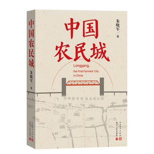 中国农民城 龙港的发展奇迹 小城大事 影视原著小说朱晓军著 长篇纪实报告文学 乡村振兴战略 农民造城的故事共同富裕示范区