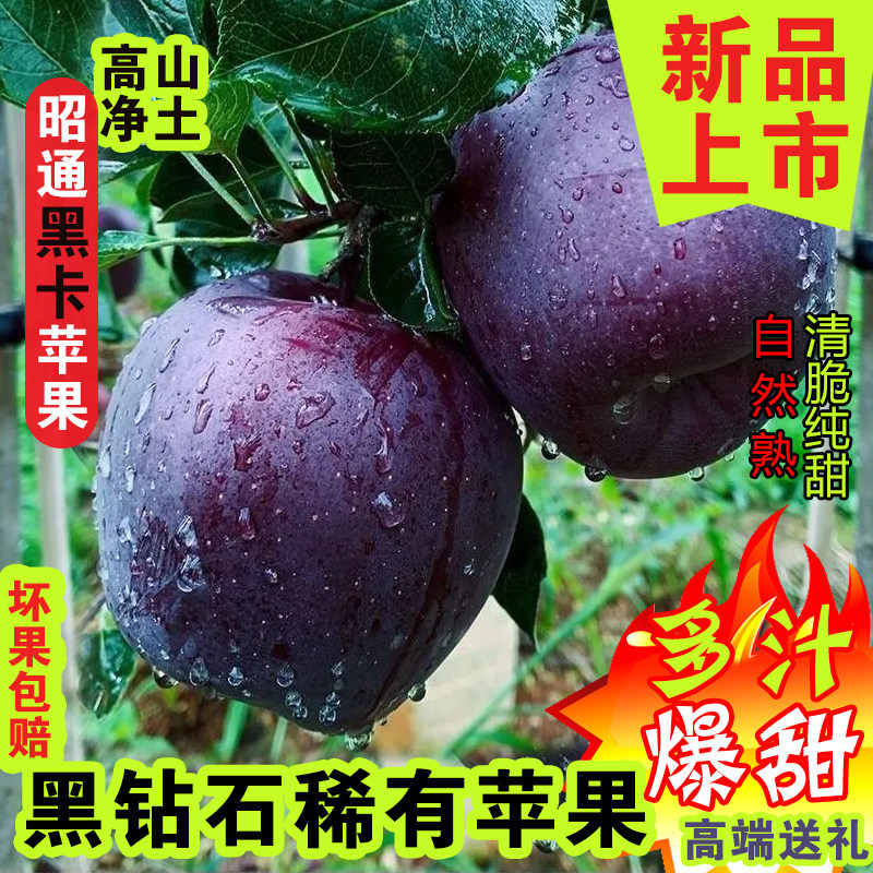 云南昭通黑卡苹果黑钻黑苹果纯甜苹果新鲜水果当季整箱高端送礼盒,水产肉类/新鲜蔬果/熟食,苹果,淘宝优惠券,粉丝福利购,淘宝优惠卷