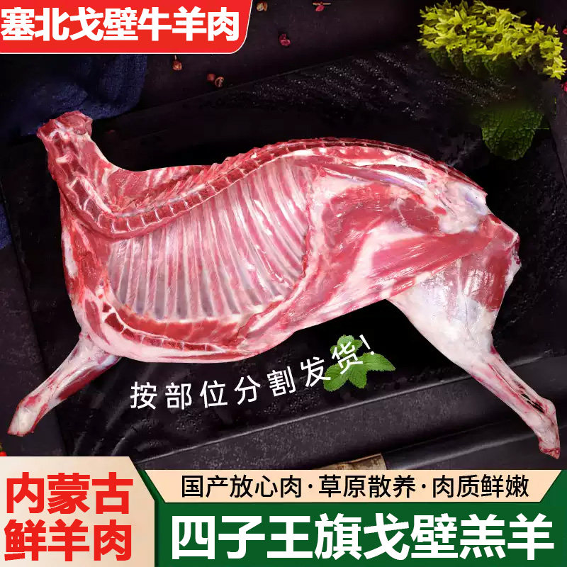 内蒙古四子王旗戈壁羊肉散养羔纯羊肉现杀新鲜羔羊肉涮火锅烧烤串