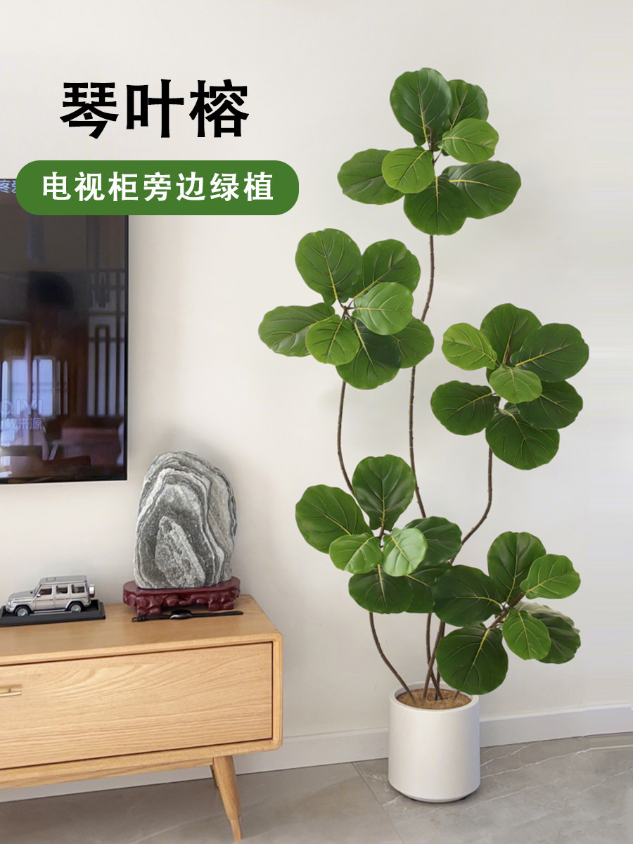 彷真琴叶榕电视柜旁边绿植高级感客厅假树大型植物盆栽落地摆件