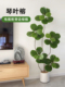 彷真琴叶榕电视柜旁边绿植高级感客厅假树大型植物盆栽落地摆件