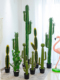 彷真绿植仙人掌摆件北欧大型仙人柱植物假绿植盆栽仙人球造景装 饰