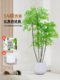 Z4彷真绿植南天竹盆栽高端轻奢彷生植物假树落地装 饰盆景假花