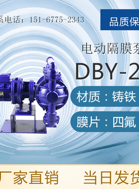 DBY-25L DBY-25P DBY-25S DBY-25F46 DBY-25FS型电动隔膜泵