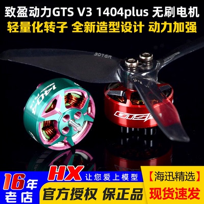 致盈动力GTSV31404Plus电机