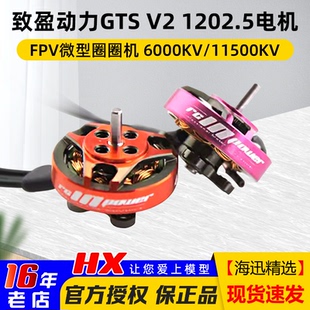 致盈动力GTSv2 2寸3寸 1202.5小型迷你室内无刷FPV穿越机马达电机