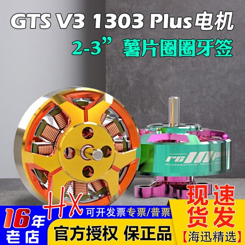 致盈动力GTSV31303plus电机