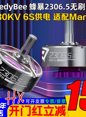 SpeedyBee蜂暴2306.5 PRO FPV穿越机1880KV无刷电机6S适配马里奥5