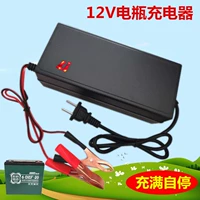 Зарядное устройство, электромобиль, умный аккумулятор, 12v, 12v, 12AH, 20AH