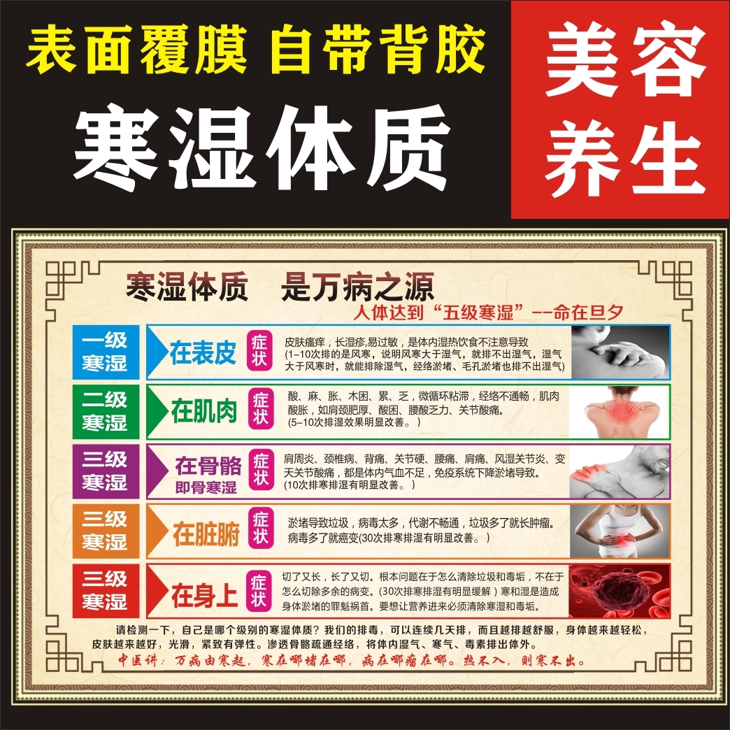 中医养生风五级寒湿海报美容院贴纸寒湿体质是万病之源养生馆贴画