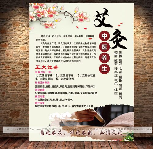 艾灸养生