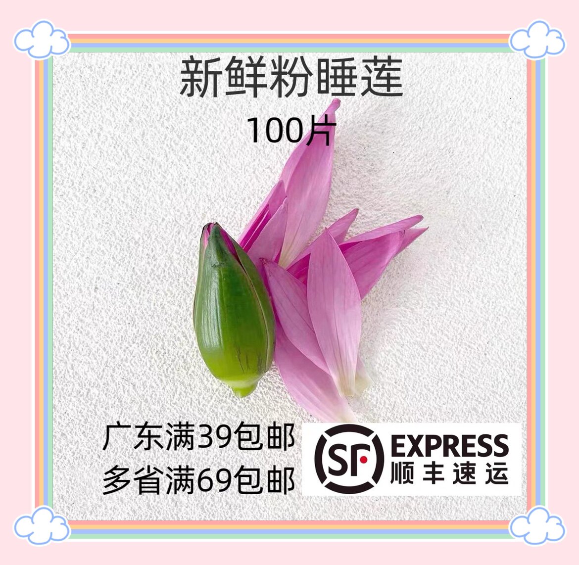 新鲜粉睡莲花瓣 100片 莲花可食用荷花 酒店西餐花草摆盘装饰