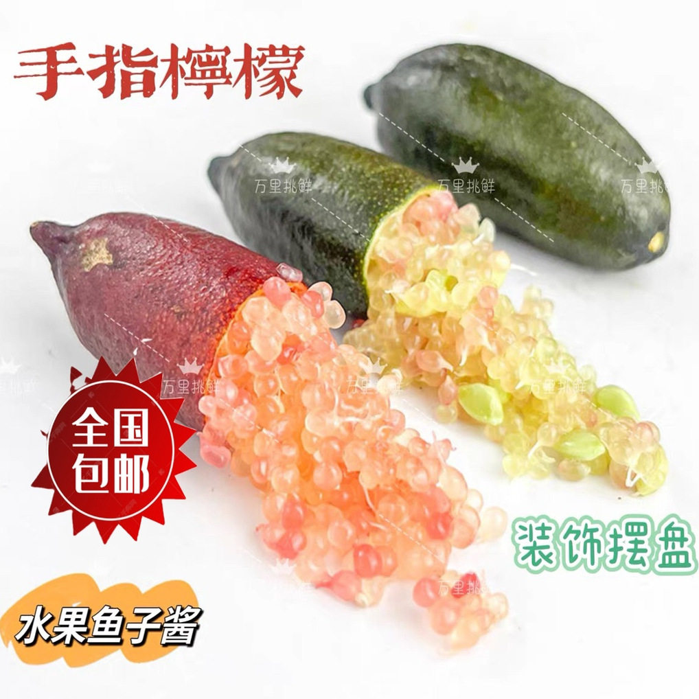 手指柠檬鲜果 澳洲品种指橙鱼子酱500g拇指柠檬西餐排盘装饰点缀