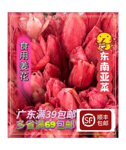 泰国菜娘惹菜食用花卉南姜花瓷玫瑰花苞1/2/10个装火炬姜花咖喱花