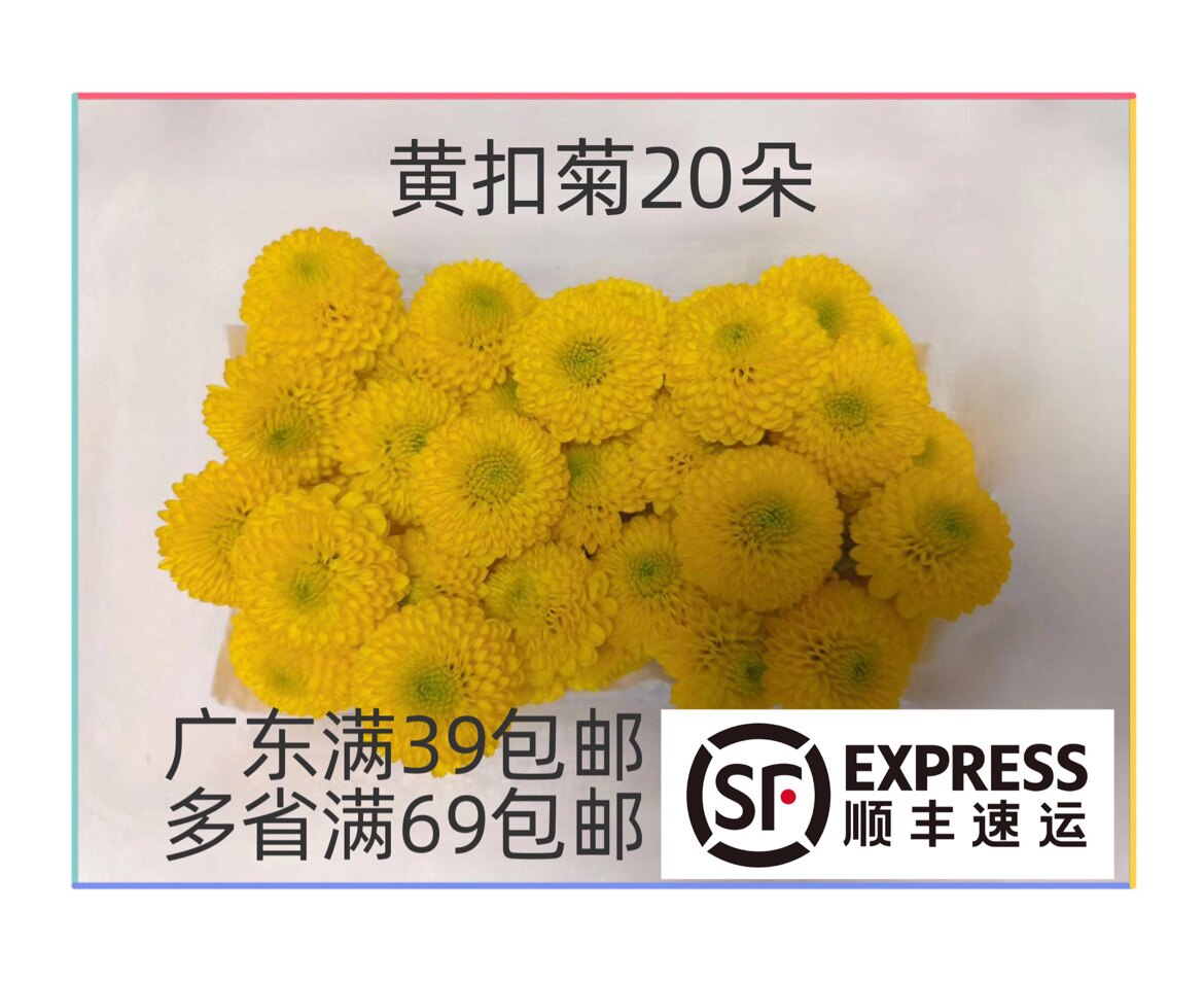 黄彩菊花小雏菊酒店餐饮摆盘点缀