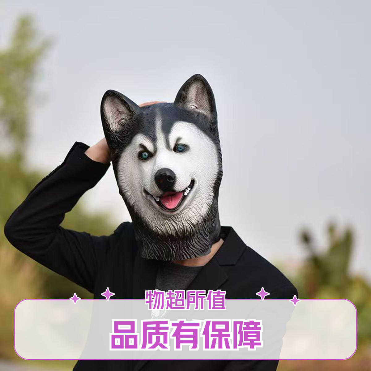 哈士奇二哈神烦犬狼狗贵宾犬