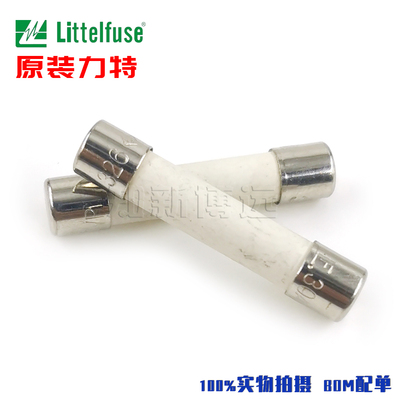 进口6*32mm延时慢断陶瓷保险丝管