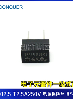 MST2.50 功得电源保险丝 T2.5A250V 微型慢熔断  黑色 方形塑封