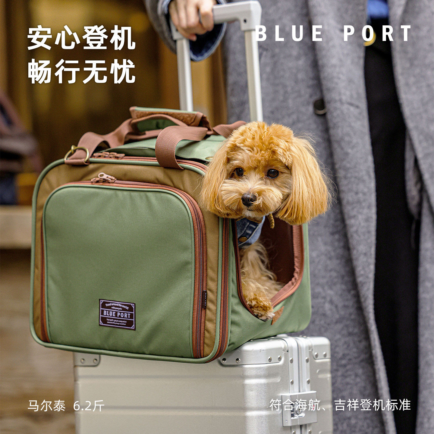 BluePort宠物登机单肩包