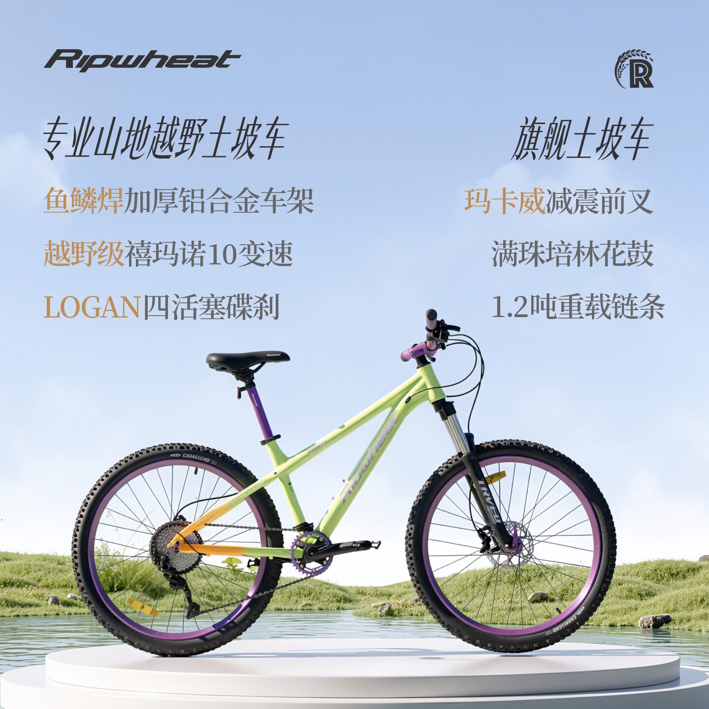 RIPWHEAT越野变速四碟刹26轮径组装整车土坡山地车适合青少年学生