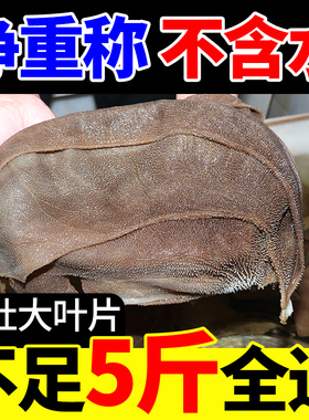 精选毛肚大叶片黑千层商用新鲜牛百叶鲜毛肚火锅食材配菜串串30斤