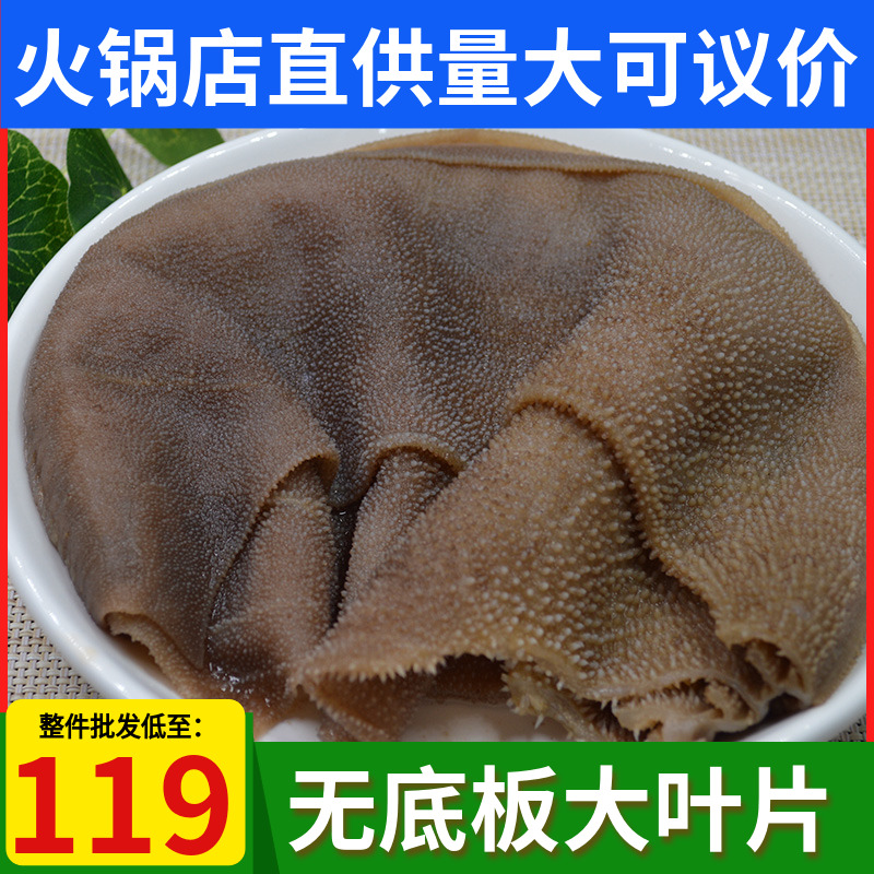 重庆新鲜毛肚大叶片5斤火锅食材