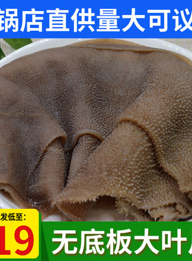 大叶片毛肚新鲜5斤牛百叶鲜毛肚火锅食材配菜重庆毛肚片串串商用