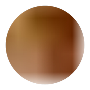 LB俄罗斯全麦面包大列巴无糖精无油黑麦杂粮吐司粗粮食品旗舰店