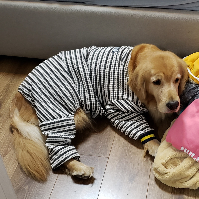 网友分享在meiguo.com的图片