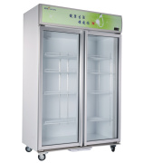 tủ đông mát 穗 凌 LG-880M2X lạnh thẳng hai cánh cửa tủ lạnh thương mại tủ lạnh trưng bày tủ lạnh tủ đồ uống tủ đông tủ lạnh - Tủ đông tủ kem merino