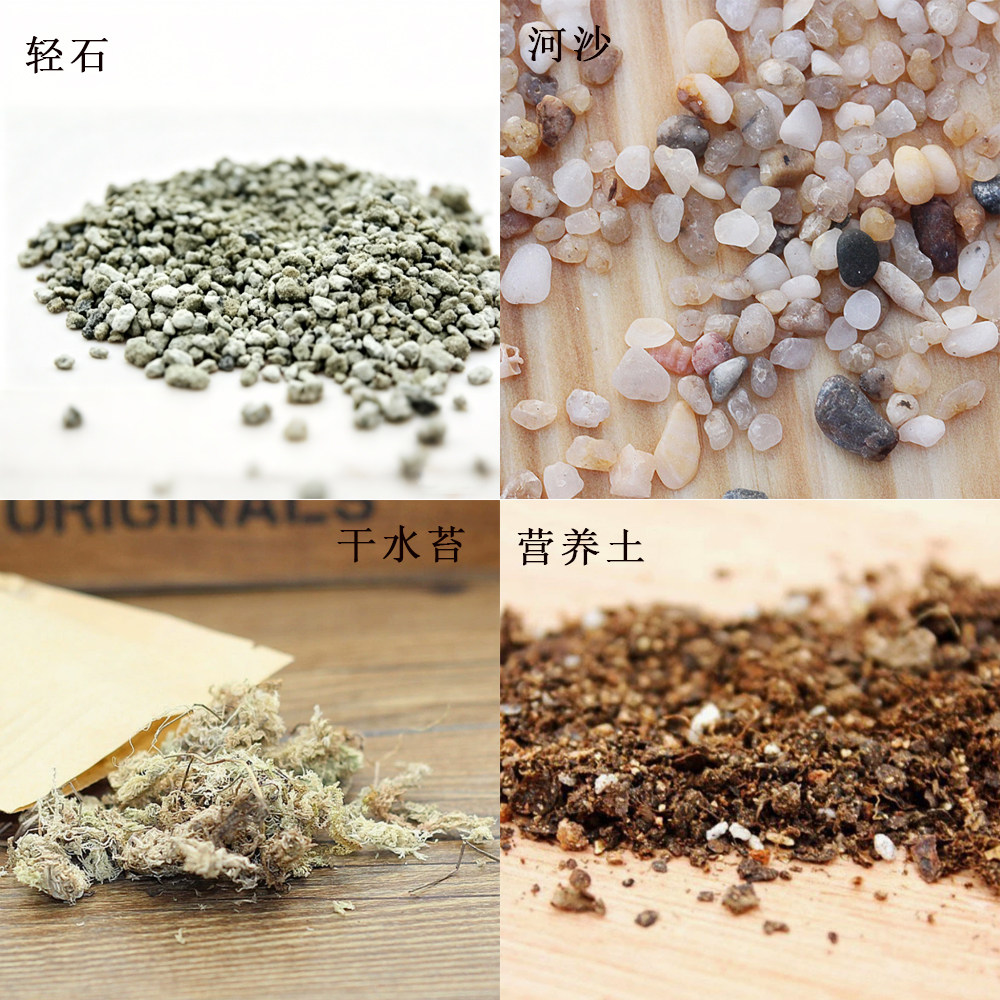 隔水轻石垫底石苔藓微景观营养土配方介质/营养土