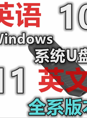 英语英文 旧版 老版 新版 windows 10 11 Excel Word 系统安装U盘