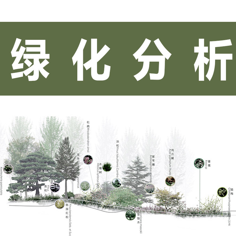 景观绿化分析 绿化分层基础绿化分析绿化平面图