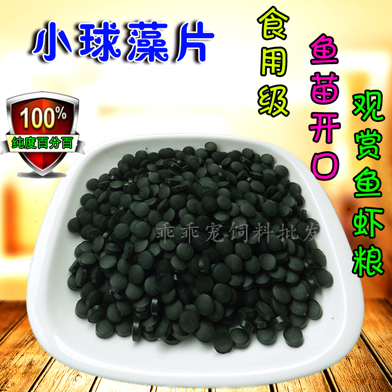 纯小球藻片鱼食胡子大帆异型鼠鱼观赏鱼素食鱼苗开口料底栖鱼饲料