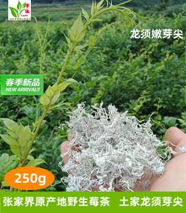 龙须芽尖养生祛湿茅岩河长寿土家藤茶 张家界野生莓茶500g特级正品