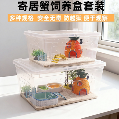 寄居蟹新手套餐饲养箱盒