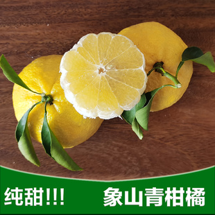 正宗象山青柑橘春香青子柚纯甜无酸低糖不上火