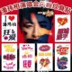 潘玮柏演唱会闪粉纹身贴纸 潘帅应援手绘妆容明星周边新款 粉丝