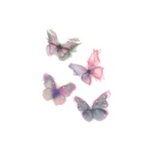 芭蕾少女新款 蝴蝶纹身贴粉色少女女生防水不反光清新辣妹彩色蝴蝶