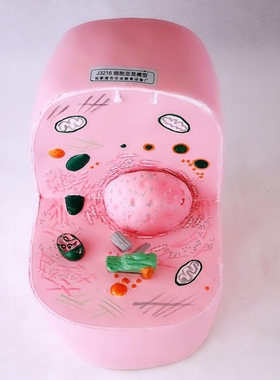 33302细胞亚显微结构模型动物细胞构造中学生物实验器材 教学仪器