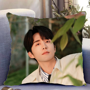 张新成周边双面抱枕舍不得星星照片带枕芯靠枕靠垫枕头礼物可定制