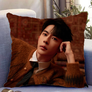 于朦胧周边双面抱枕人物照片同款靠枕靠垫带枕芯枕头套礼物可定制