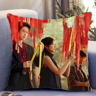 有罪之身周边双面抱枕魏大勋孙千陆鸣夏雪带枕芯靠枕靠垫礼物定制