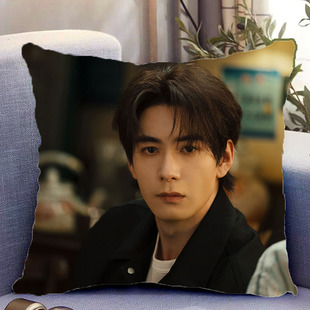 陈星旭周边双面抱枕枭起青壤炎拓照片带枕芯靠枕靠垫枕头礼物定制
